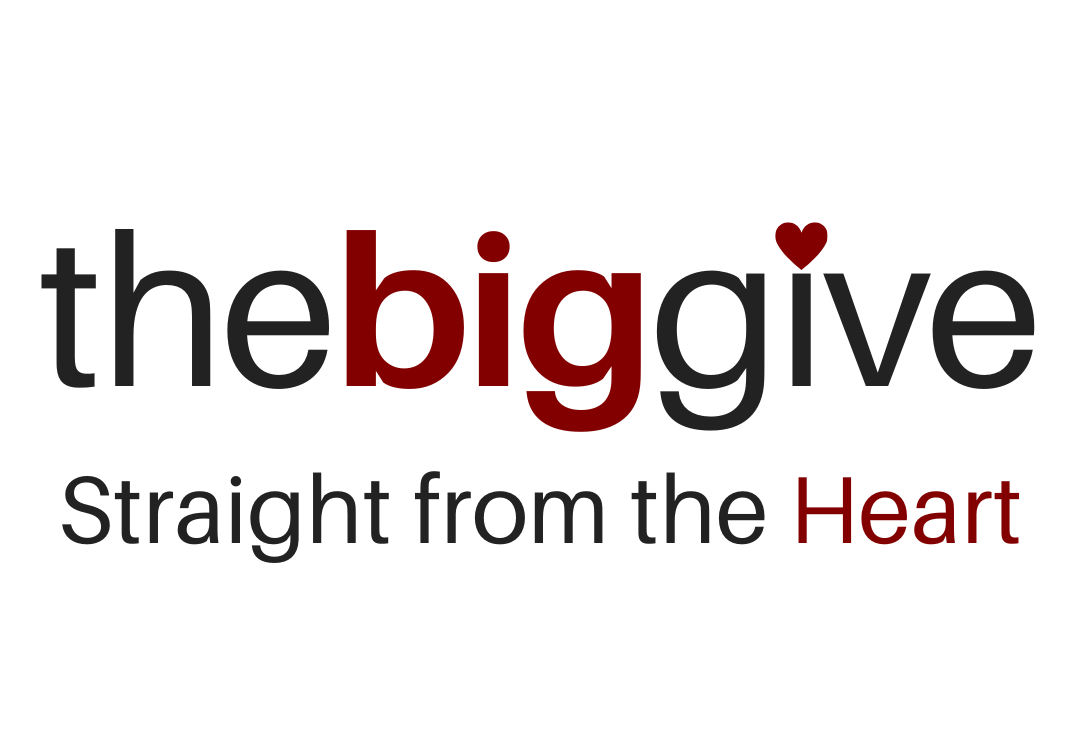 Big Give Big Give